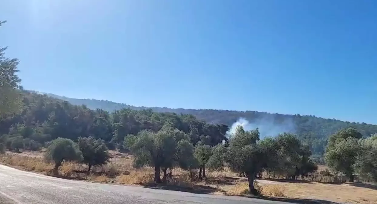 milasta orman yangini 2 gune girdi Ivww1IET