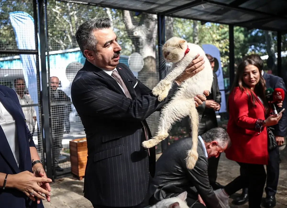 bursada sahipsiz hayvanlar icin rehabilitasyon merkezi acildi 4YN3A64y