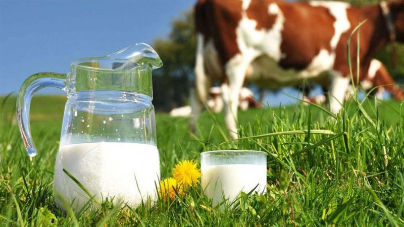 inekler kesime gidiyor uretim daraliyor sute zam mi gelecek 85qW6Yzl.jpg