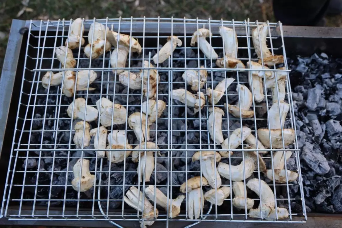 kilosu etle yarisiyor japonlarin gozdesi beyaz altinda hasat basladi zgyrV7dm.jpg