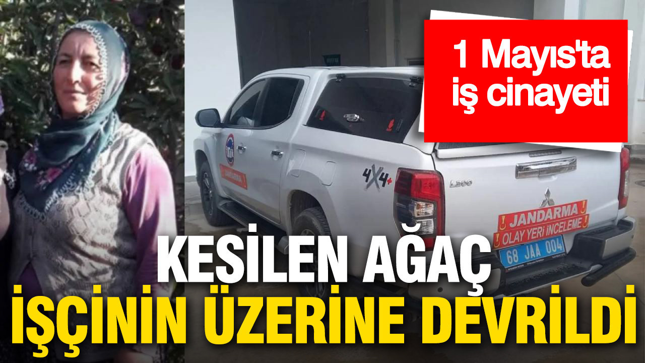 1 Mayıs’ta Facia: Ağaç Devrilmesiyle İşçi Hayatını Kaybetti
