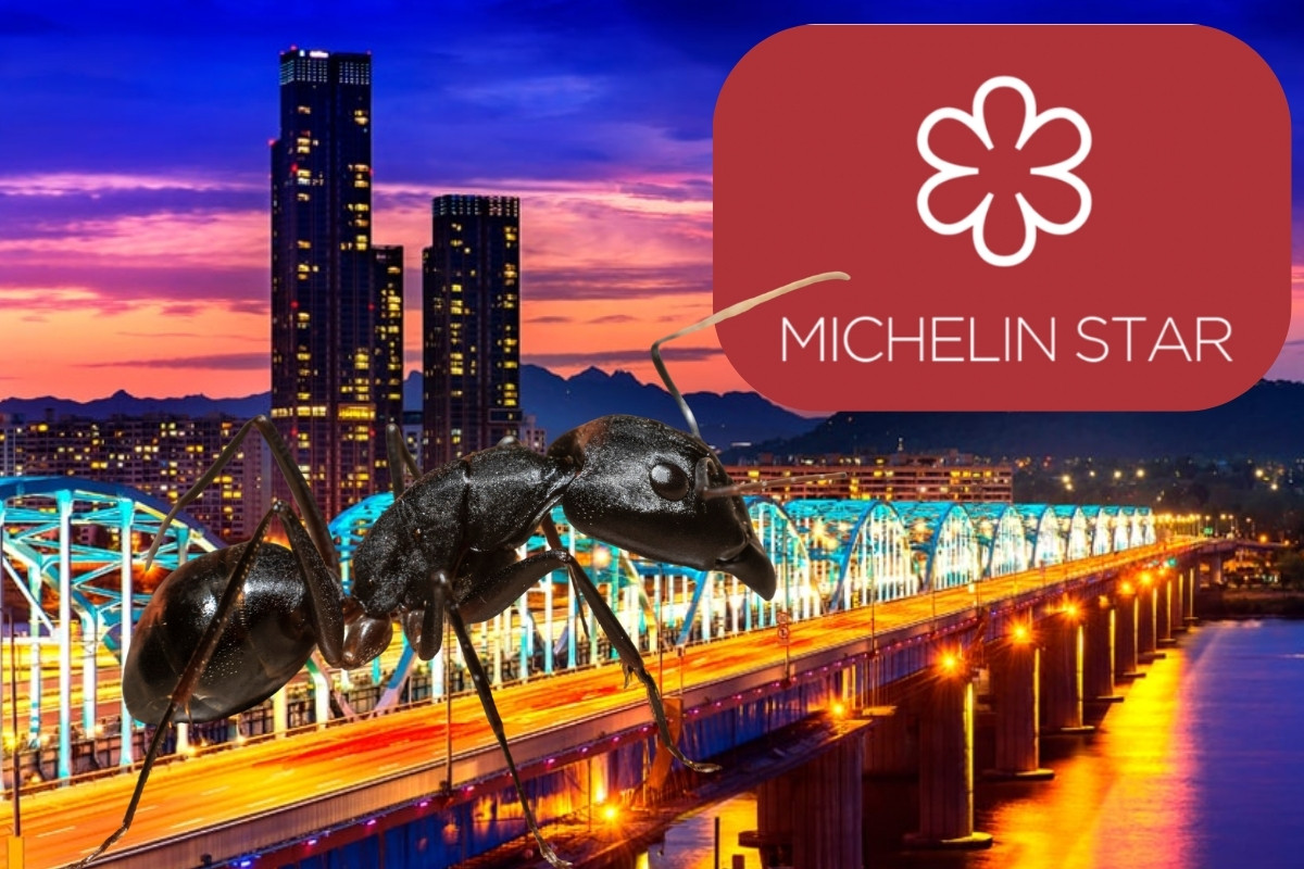 Michelin yıldızlı restoranın şefi, tatlıda karınca kullandığı iddiasıyla hapis istemiyle yargılanıyor Haber gorseli