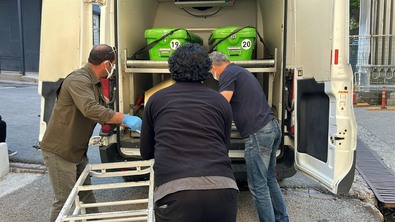 Kene bir can daha aldı: Yaşlı kadın hastanede can verdi Haber gorseli