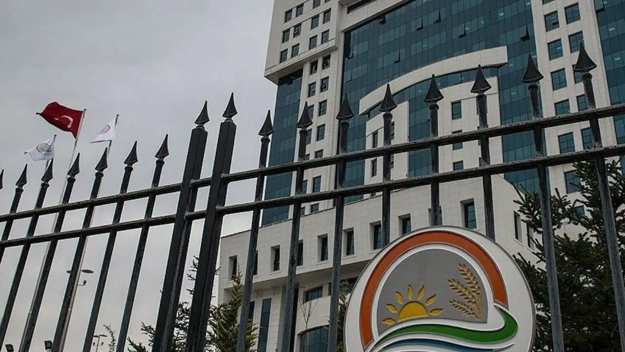 Tarım ve Orman Bakanlığı personel alımı başvuruları ne zaman? Tarım ve Orman Bakanlığı kadro dağılımı ve şartlar Haber gorseli