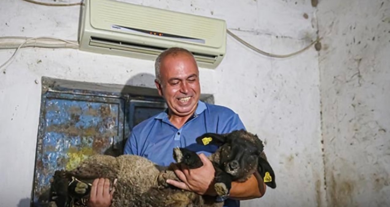 Avukatlığı bıraktı hayvancı oldu: Ahıra klima taktırdı Img